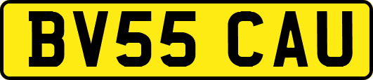 BV55CAU