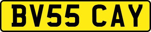 BV55CAY