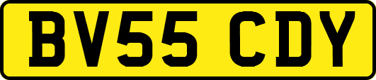 BV55CDY