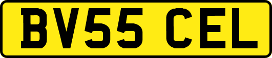 BV55CEL
