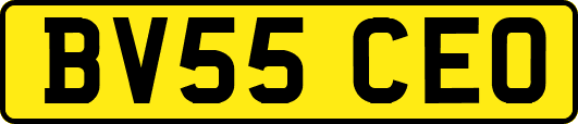 BV55CEO