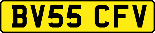 BV55CFV