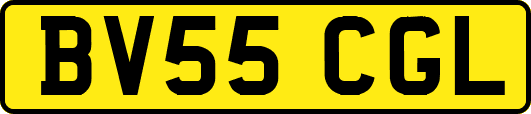 BV55CGL