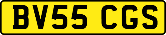 BV55CGS