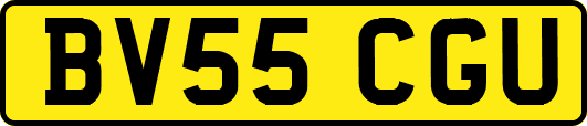 BV55CGU