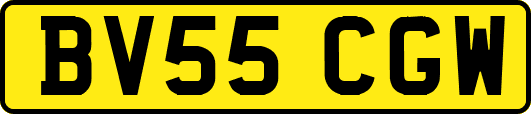 BV55CGW
