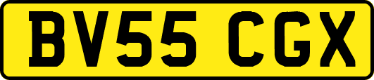 BV55CGX