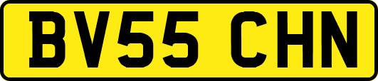 BV55CHN