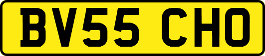 BV55CHO