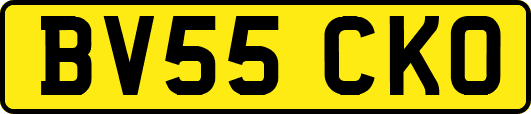 BV55CKO