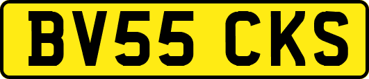 BV55CKS