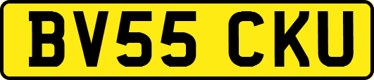 BV55CKU