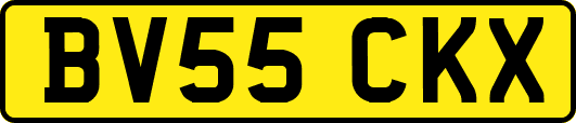 BV55CKX