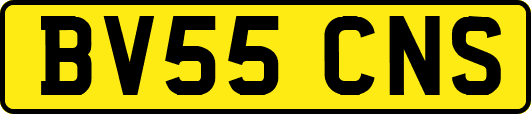BV55CNS