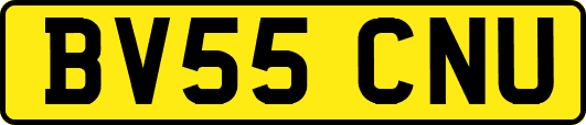 BV55CNU