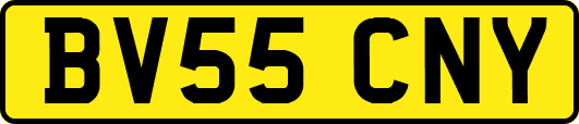 BV55CNY