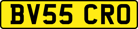 BV55CRO