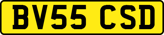 BV55CSD