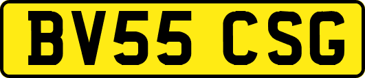 BV55CSG
