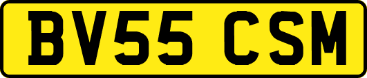 BV55CSM