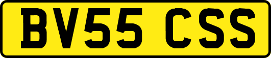 BV55CSS