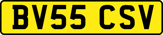 BV55CSV