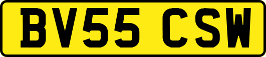 BV55CSW
