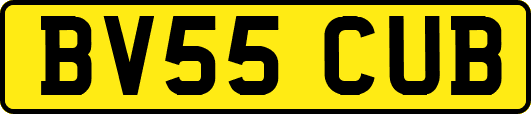 BV55CUB