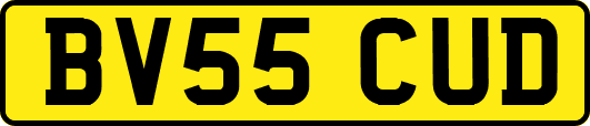 BV55CUD