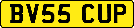 BV55CUP