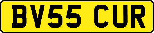 BV55CUR