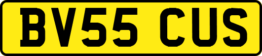BV55CUS
