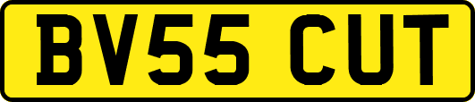 BV55CUT