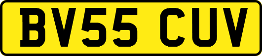 BV55CUV