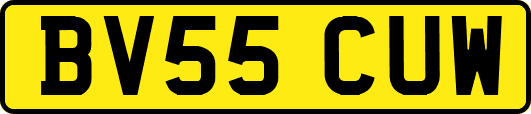 BV55CUW