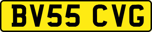BV55CVG
