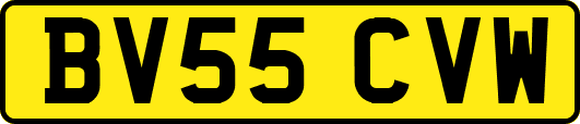 BV55CVW