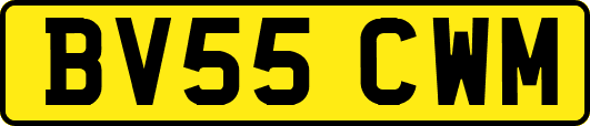BV55CWM