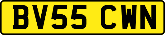 BV55CWN