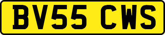 BV55CWS