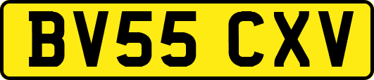 BV55CXV