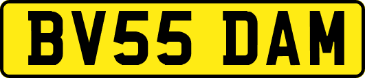 BV55DAM