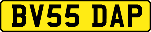 BV55DAP