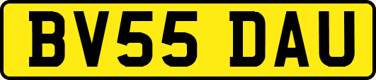 BV55DAU
