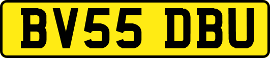 BV55DBU