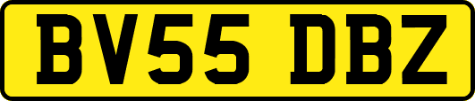 BV55DBZ