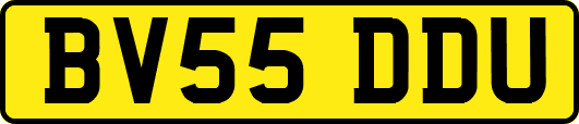BV55DDU