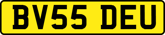 BV55DEU
