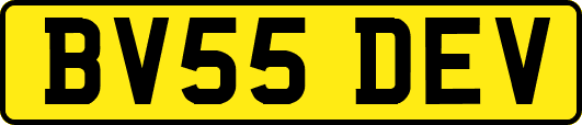 BV55DEV