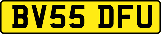BV55DFU